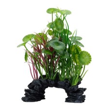 Fluval Aqualife Green Lysimachia Plant Mix 6-8 inch
