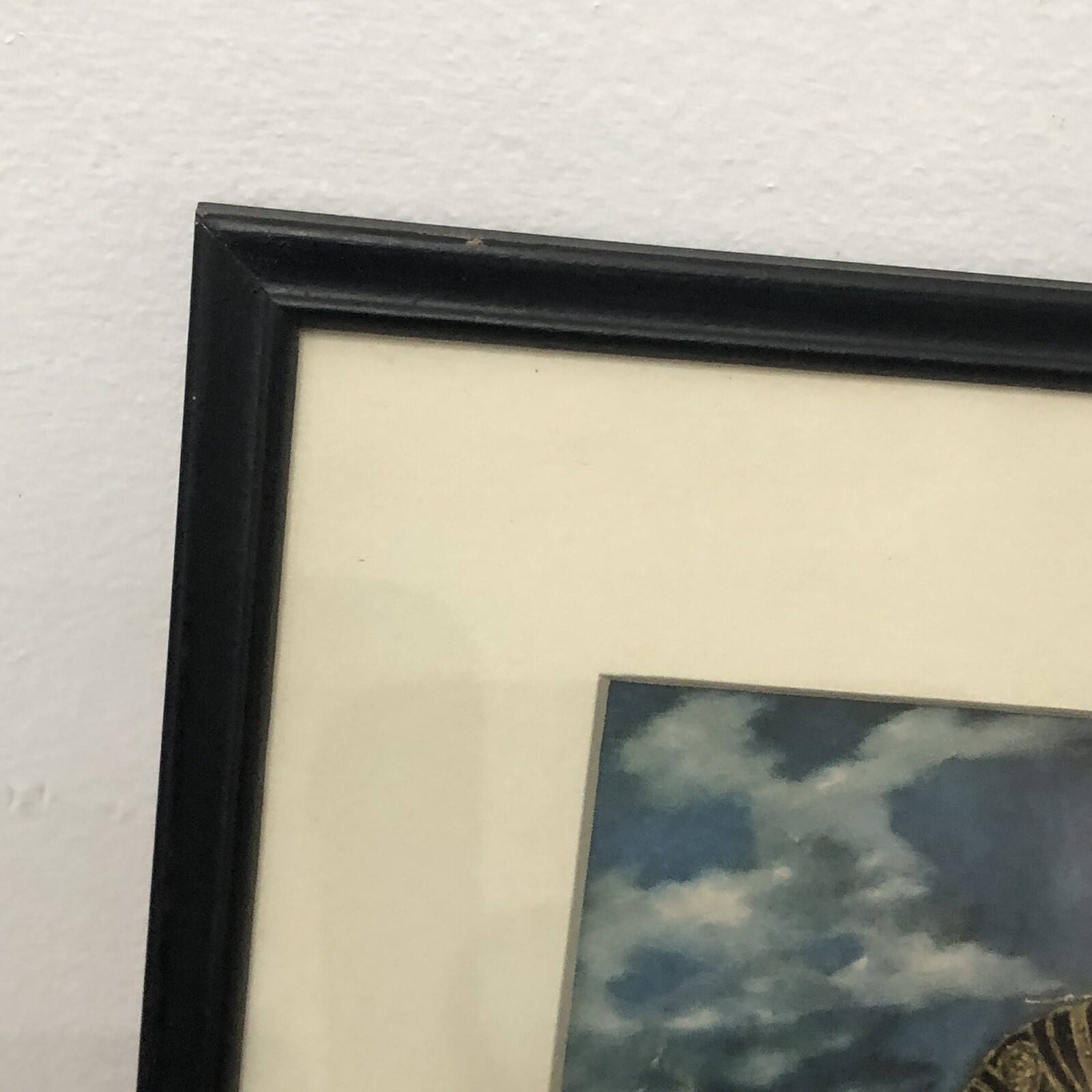 Picture 7 of 24