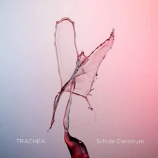 Various Trachea (CD) (UK IMPORT)