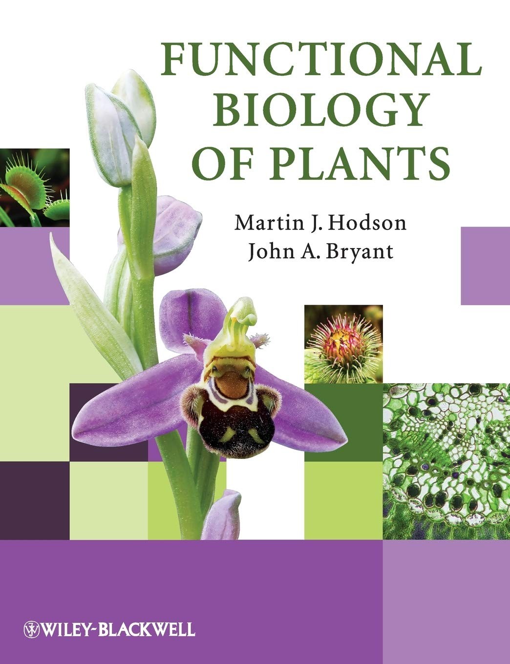 Functional Biology of Plants,Hodson, Martin J. Martin J. Hodson,