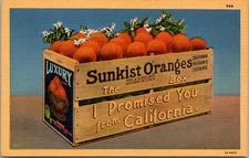 Sunkist Oranges The Box I Promised You From California Advertising  Postcard