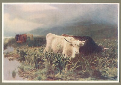 Original c1905 Litho Antique Print MOORLAND ROVERS by PETER GRAHAM
