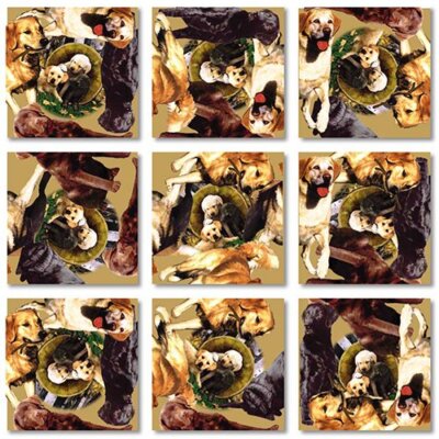 Retrievers B. Dazzle Scramble Squares 9 Piece Puzzle