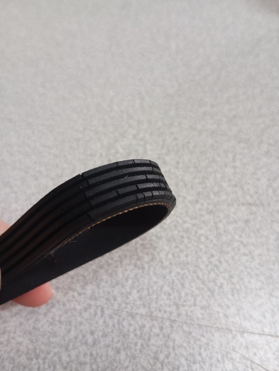 Courroie Machine à Laver Référence D'origine 1895PH7