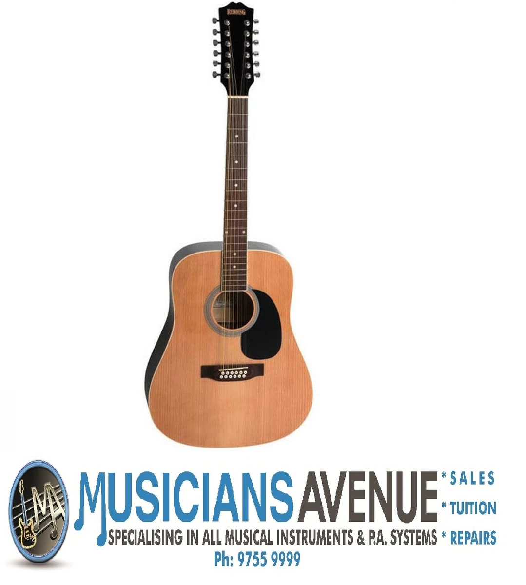 Redding RED 512 12 String Acoustic Guitar Free Online Lessons eBay