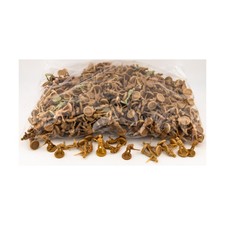 HBG Historical Minis Axis  Allies British Infantry Collection 17 NM