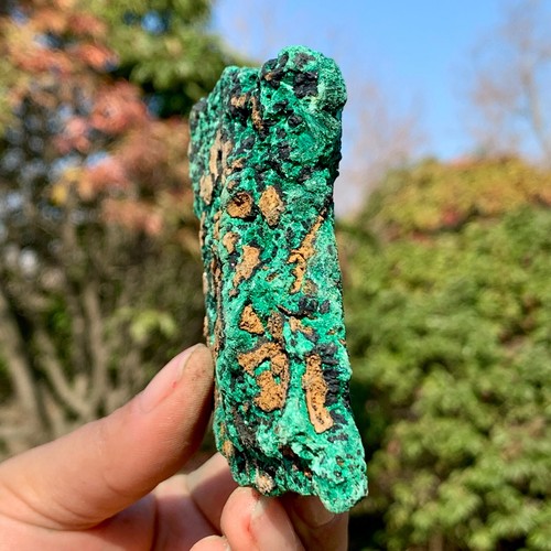 219G Natural VELVET Malachite cat's eye specimen crystal rough mineral-Congo - Picture 4 of 24
