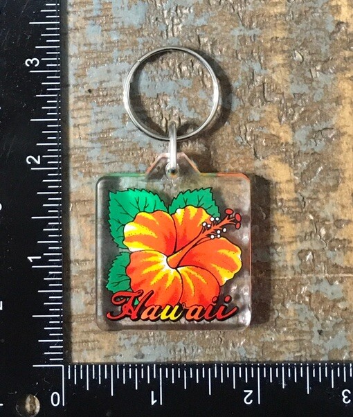 Vintage HAWAII Lei Flower Travel Souvenir Keychain Key Ring HI Acrylic