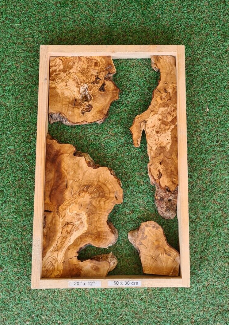 20x12 Raw Edge Olive Wood Slab for Resin Art Crafting