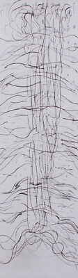 Amelia Firth - Zeitgenössische Radierung, Hardraw Force Wasserfall