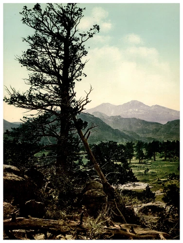 Colorado, Long’s Peak from Estes Park  Vintage photochrom print by Detroit Photo