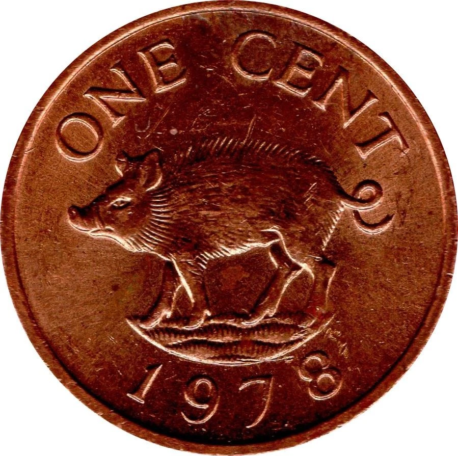 Bermudian 1 Cent Coin | Queen Elizabeth II | Wild Boar | Bermuda | 1970 - 1985 - Image 4 of 4