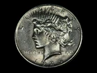 1925 Peace Silver Dollar / Circulated / Cleaned / See Description! / (3/16-3)