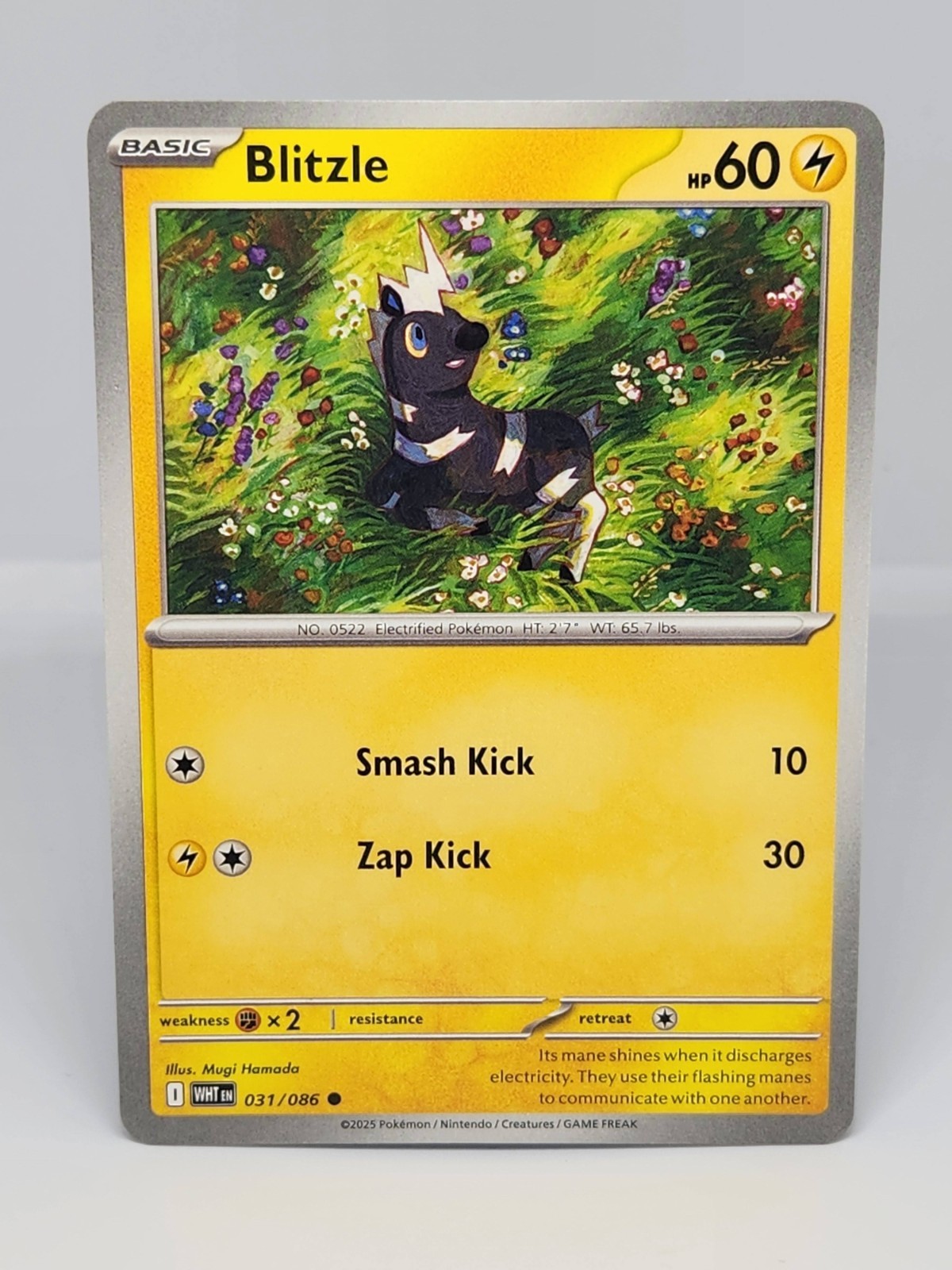 Blitzle 031/086 Sv: White Flare Regular