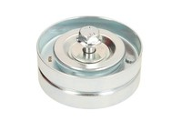 Umlenk-/FüHrungsrolle, Keilrippenriemen BTA E2W0066BTA