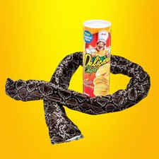 DELUXE CHIPS SNAKE CAN - Magic  Party Tricks