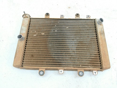 #ad 17 Yamaha Kodiak YFM 700 4WD Radiator $49.99