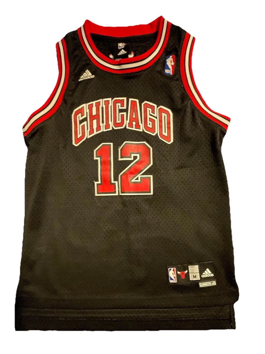 Kirk Hinrich Jersey In Nba Fan Apparel & Souvenirs for sale | eBay