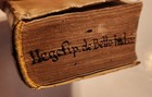 Bild 11 von 11