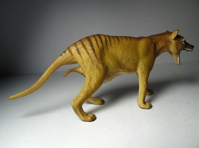 tasmanian tiger toys
