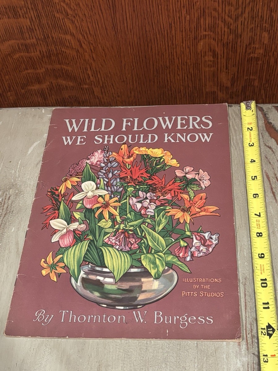 Wild Flowers We Should Know By THORNTON W BURGESS 1929 | eBay