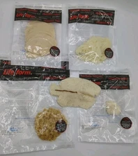 Life Form Food By Nasco Replica Food Lot 5 Pieces Open Tilapia Protein Realistic