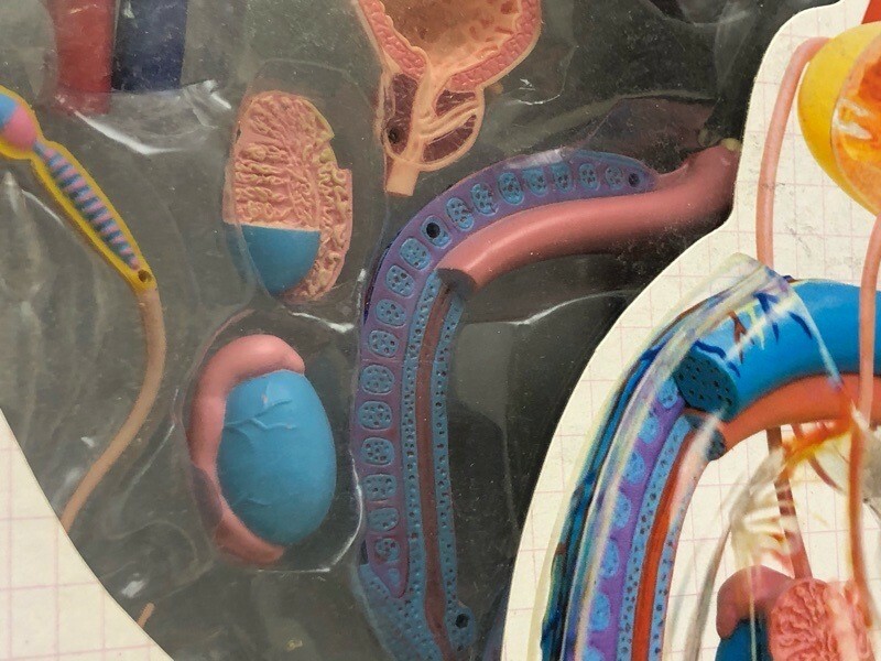 SKY NET マッハ号　THE MACH s-l400.jpg