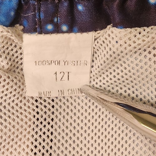 Swimsuit Trunks Boys 12 12T TRex Sloth Graphic Lasers Drawstring Mesh Brief - Picture 6 of 6
