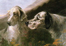 ENGLISH SETTER DOG GREETING CARD TWO BEAUTIFUL DOG HEADS NOTE CARD