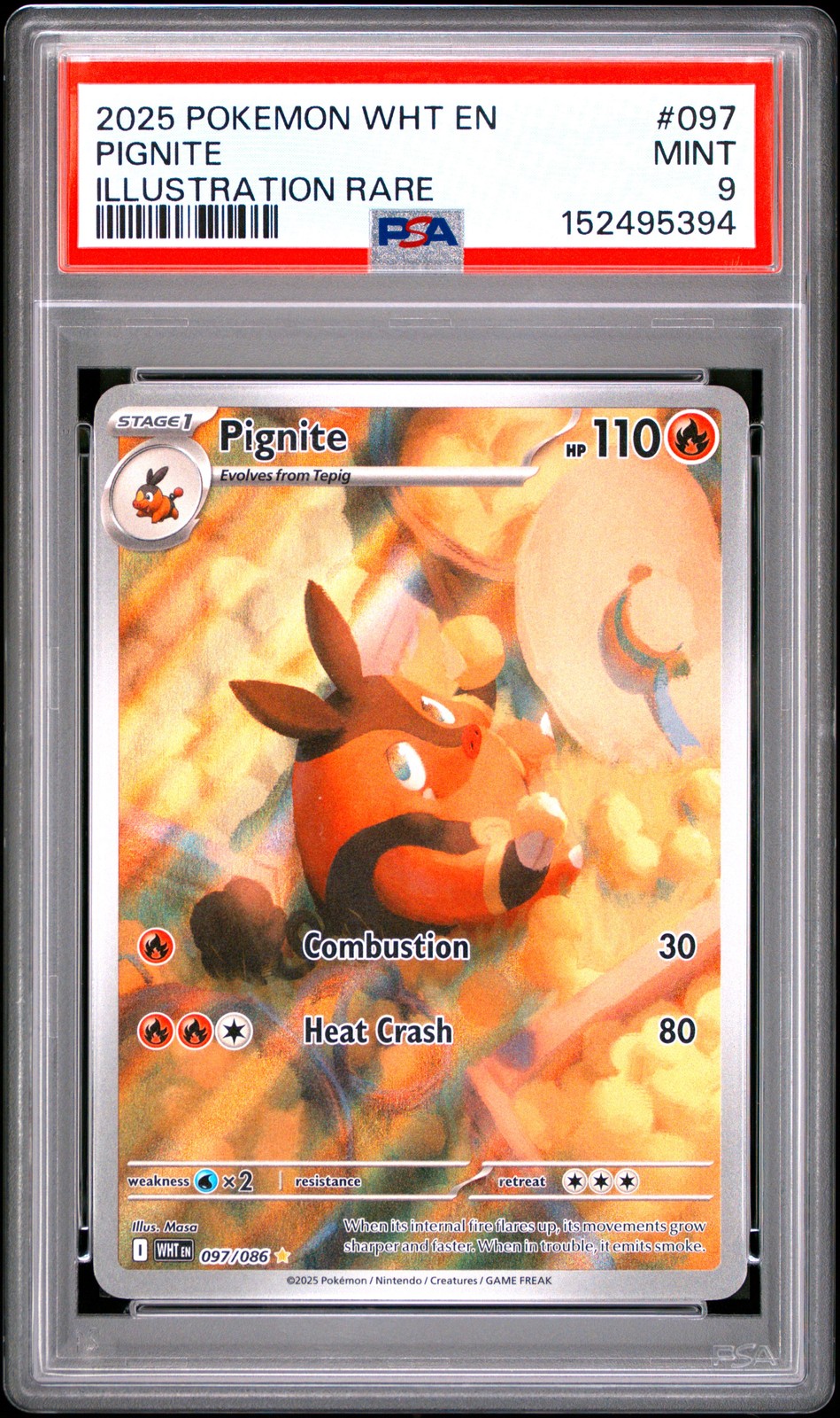 Pignite #97