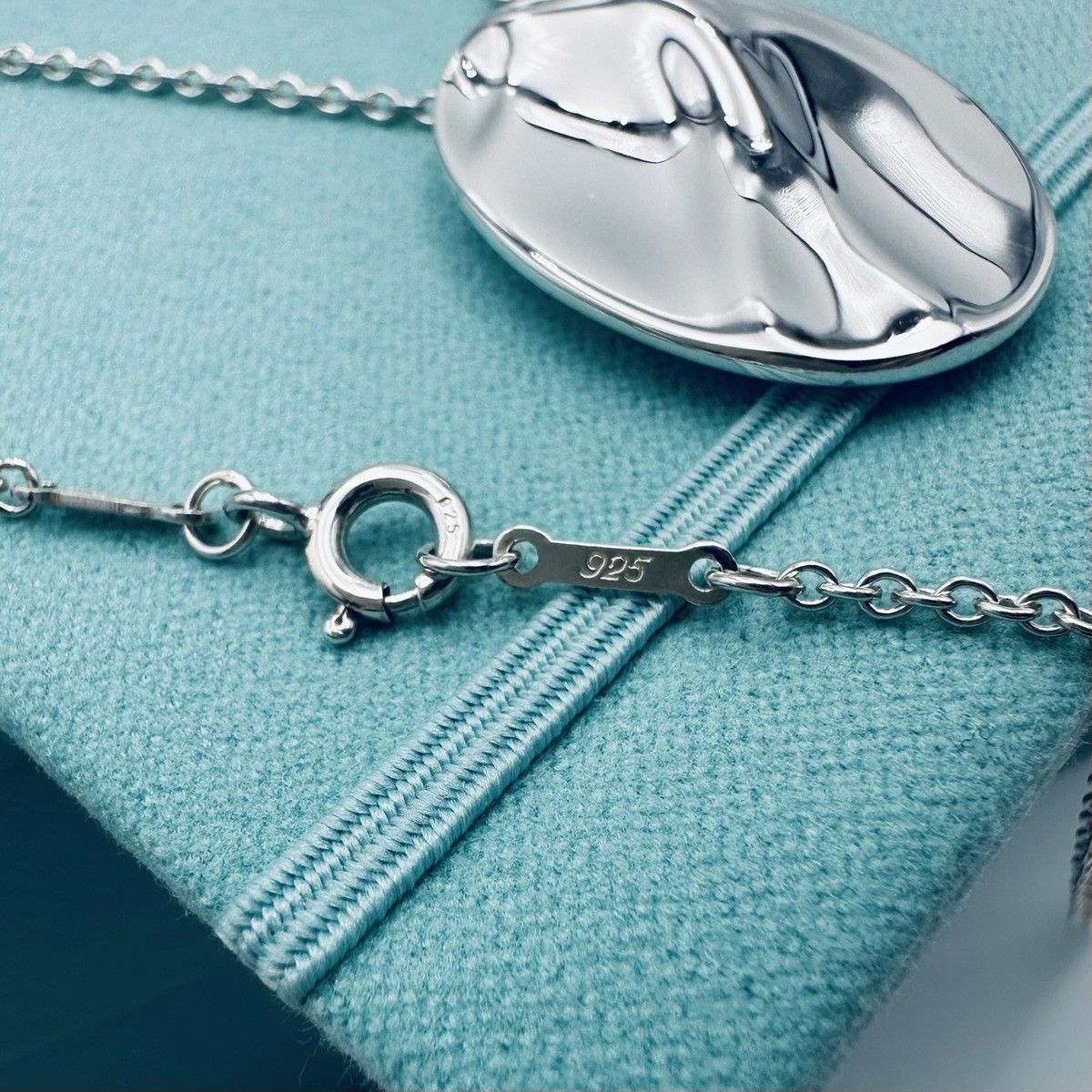 Tiffany & Co. Pure Silver Ag 1000 Aquarius Zodiac Necklace 29