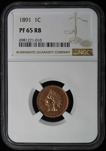 1891 Bronze Indian Cent 1C NGC PR65RB