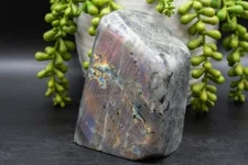 Labradorite Free-Form - Purple/Pink Flash 2.5"x4"