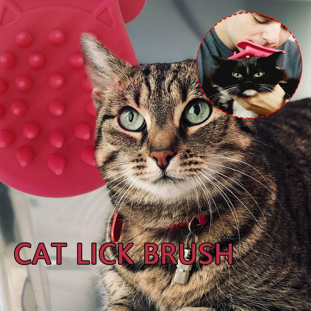 pdx pet design shru the intelligent cat companion