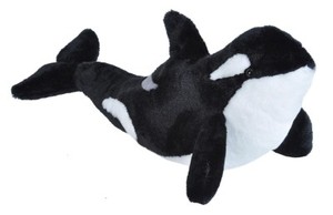 orca cuddly toy