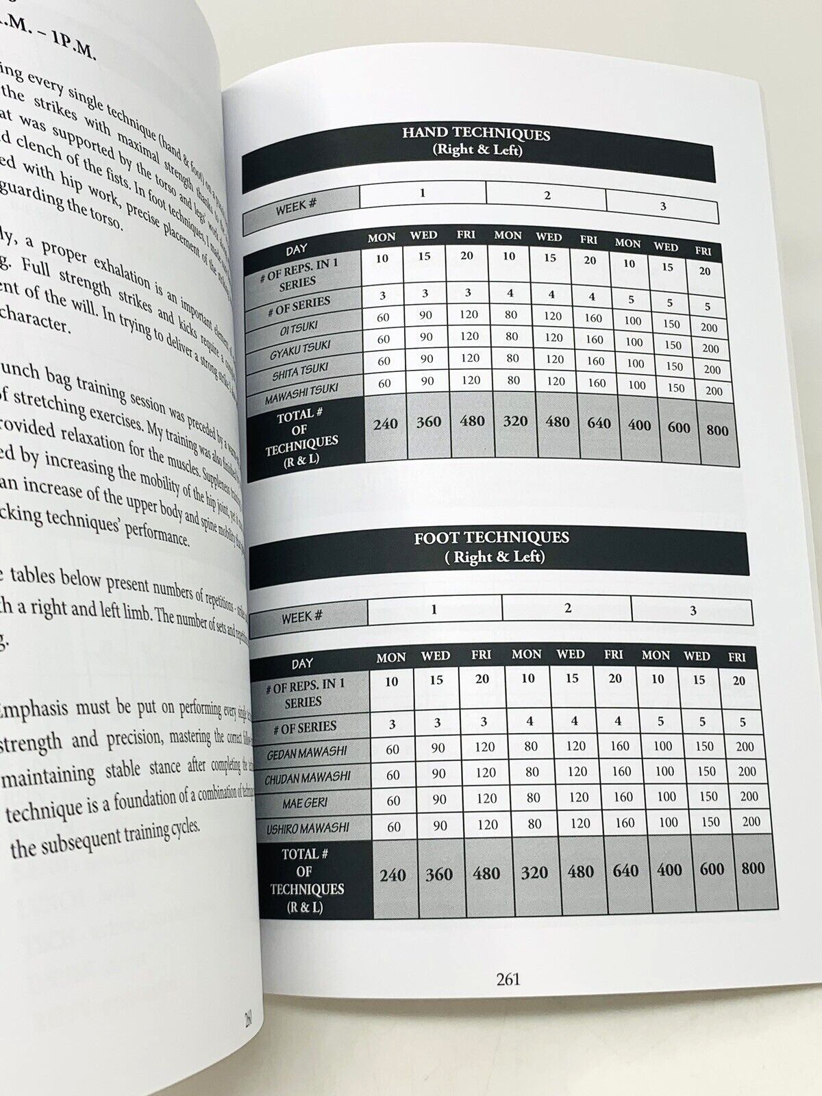 Traditional Kyokushin Karate Budo & Knockdown Sensei Piotr Szeligowski