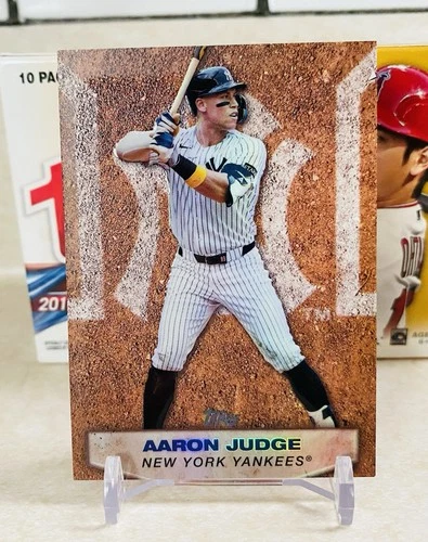 Aaron Judge