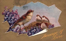 Vintage Postcard 1909 Message of Love Greetings Card Four Little Birds & Flowers