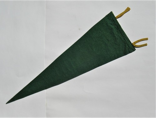 1940s 50s Lonesome Pine Pound VA Native American Indian Chief Head Felt Pennant - 第 2/4 張圖片