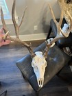 Picture 3 of 5