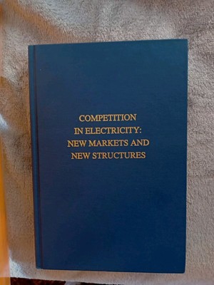 Competition In Electricity: New Markets And New Structures 