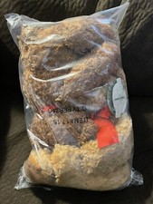 NEW Set of 2 First  Main Tucker Teddy Bears 14" 2002 Tan and Brown