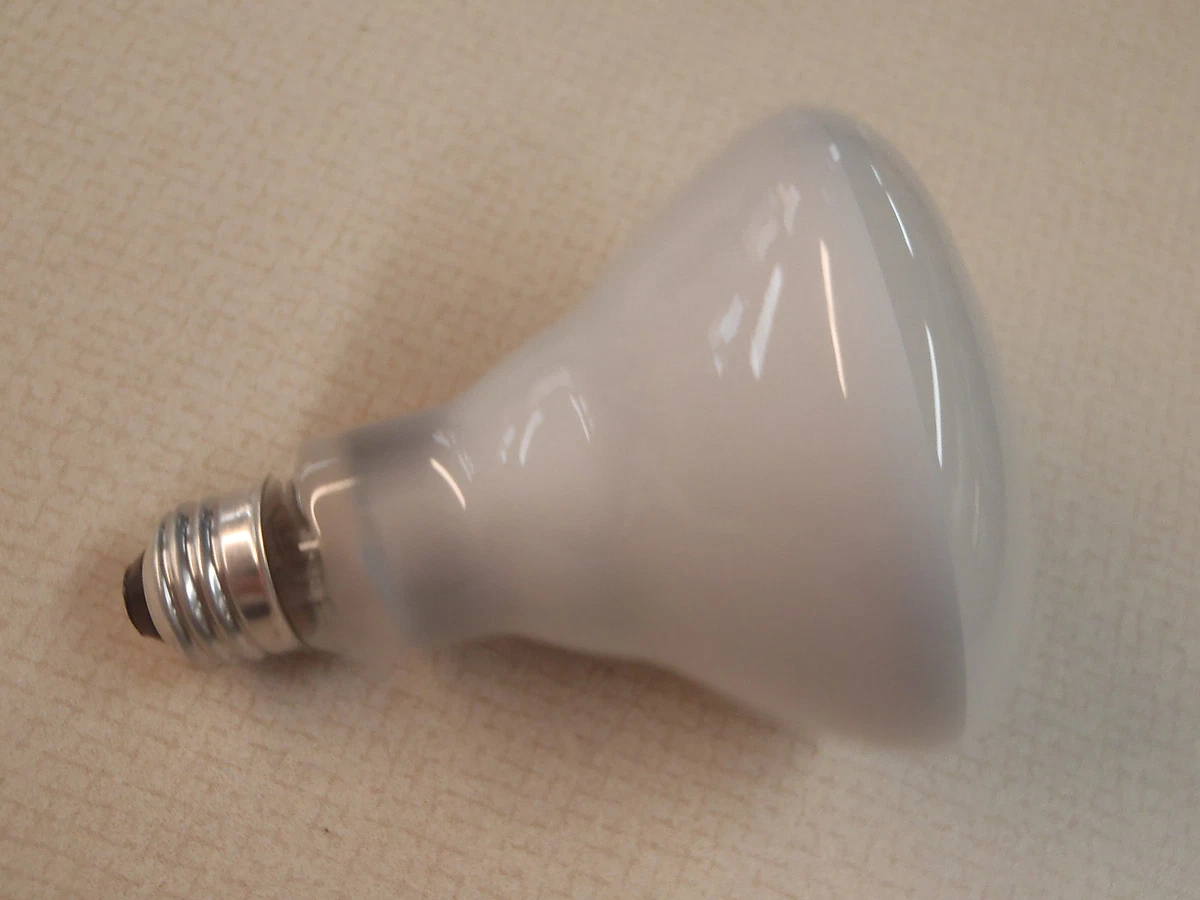Philips 65W 120V F2 Frosted Light