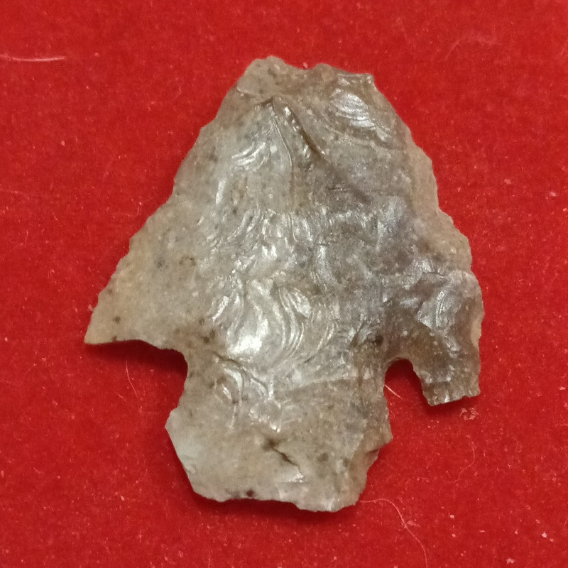 Stone Tool / Projectile Point / Arrowhead Artifact, Native American US, Prov N/A