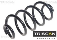 Triscan 875014110 Fahrwerksfeder FüR Nissan