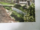 Bild 6 von 12