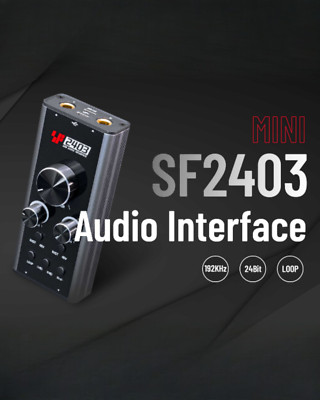 Simplefly SF2403 Analog Dual-Channel 24bit/192kHz AD/DA Converter w/ USB-C