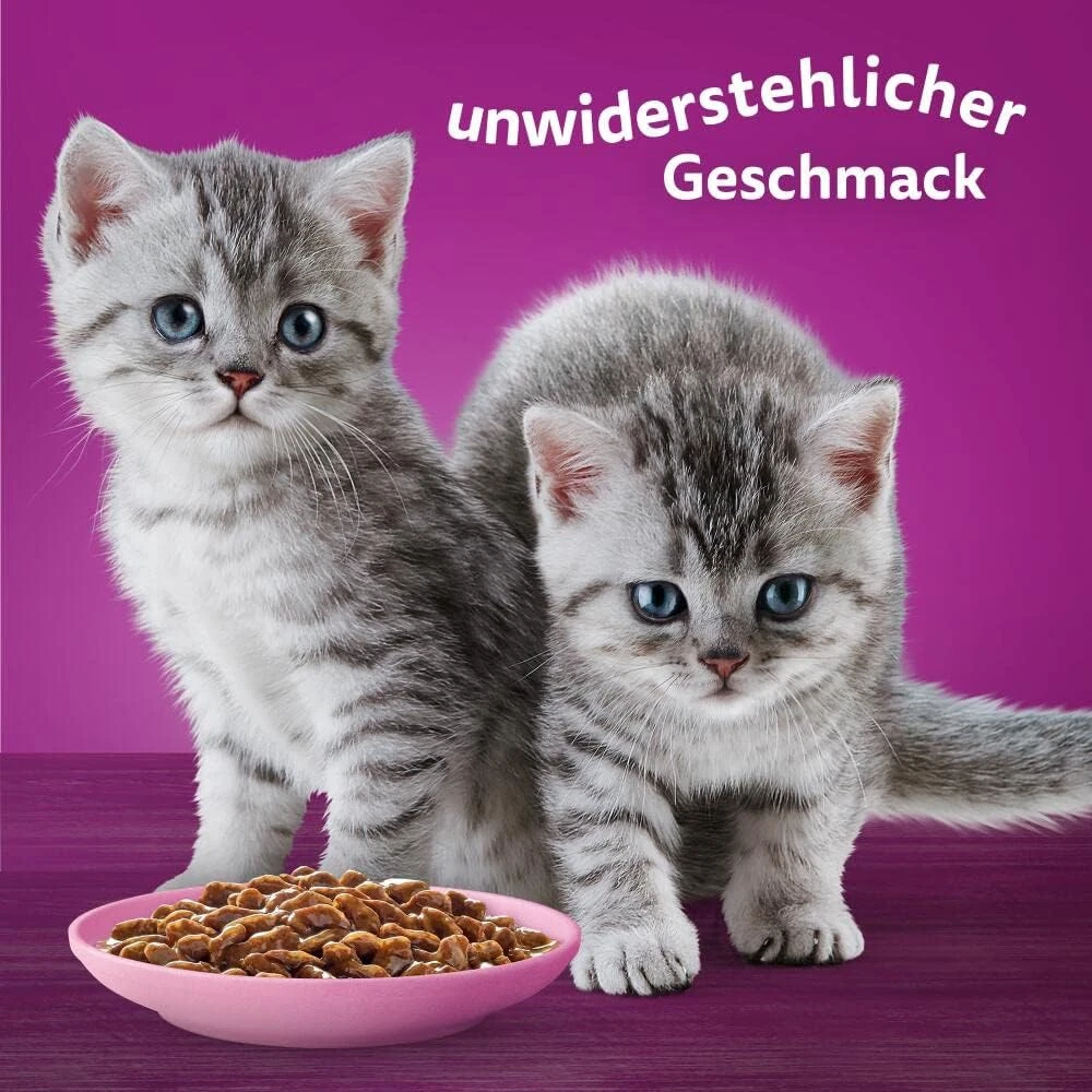 Bild 6 von 12