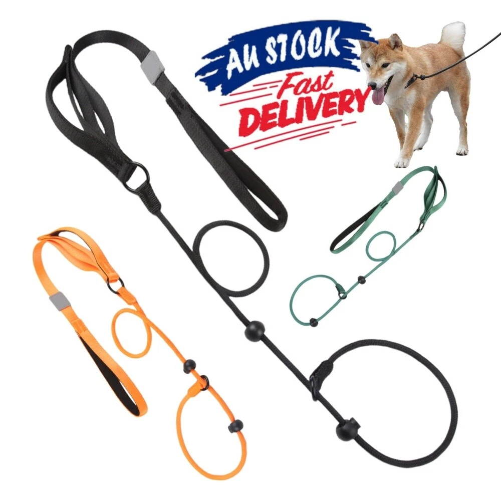 66in Slip Lead Dog Leashs Nylon Rolled Rope Pet Collar Obedience Recall Training