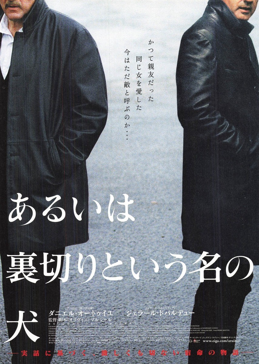 コンゴ、美術シート、ジェラールドパルデュー cbj_s52 Gérard Depardieu movie Flyer set of 5 B5 CHIRASHI Japanese